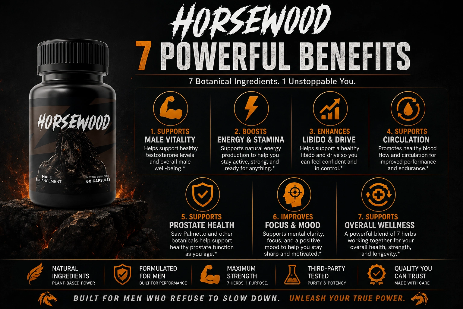 Illustration of the male vitality benefits supported by the Horsewood daily formula