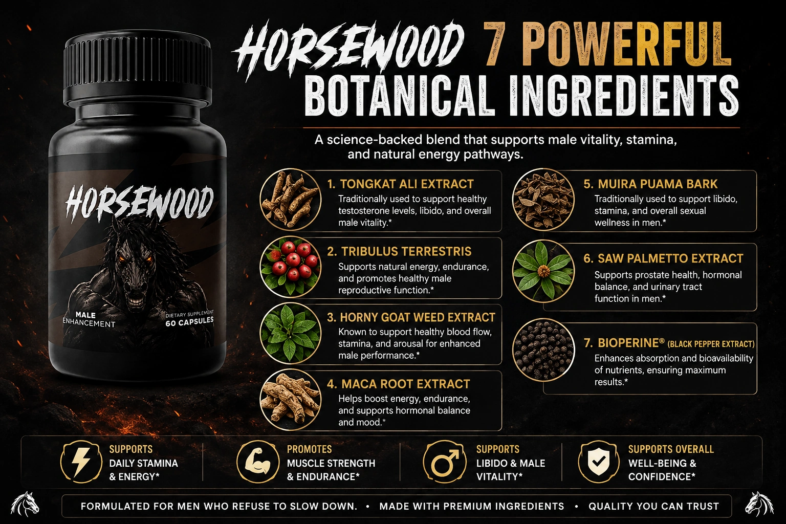 Tongkat Ali 1000mg explained article cover